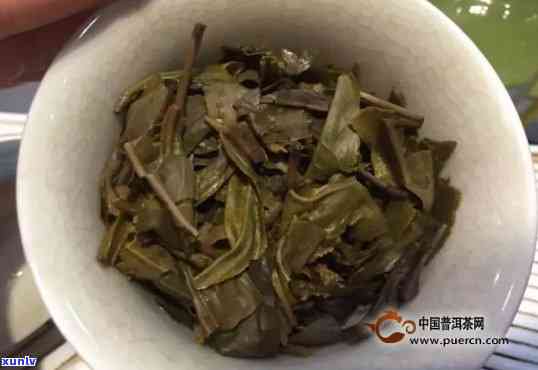 千羽雀普洱茶：口感与大益的结合之美