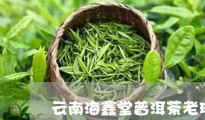 云南特色熟茶：海鑫堂精选普洱茶，滋味浓醇厚