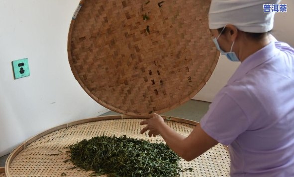 普洱茶饼制作工具全解析：了解各种工具的种类与用途，让您轻松制作美味茶叶