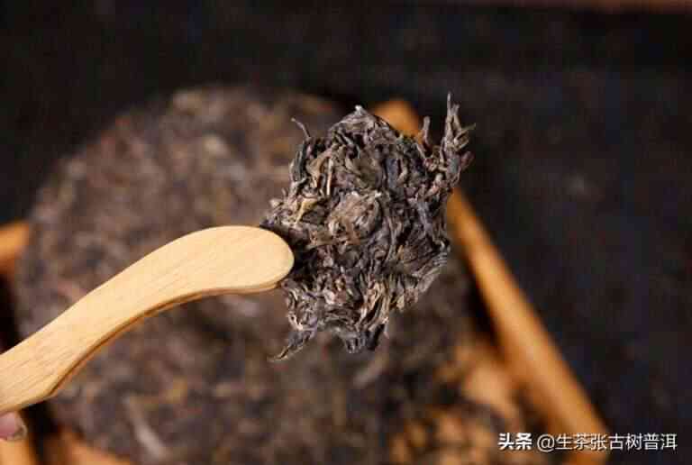 全面掌握普洱茶饼撬茶技巧：从挑选茶叶到泡出美味茶水的详细步骤与注意事项