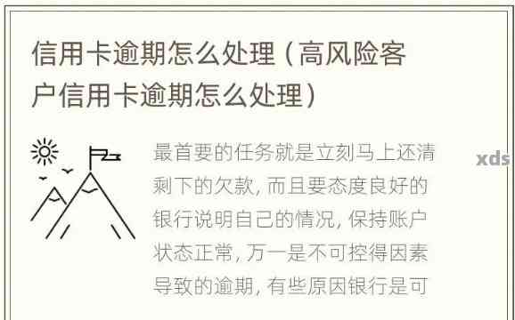 逾期高风险名单怎么办：处理流程与后果全解析