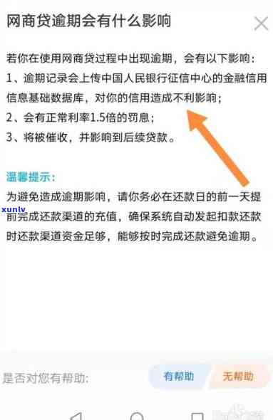 '网商贷逾期还款后，是否可以再借以及如何处理剩余款项？'