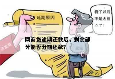 '网商贷逾期还款后，是否可以再借以及如何处理剩余款项？'