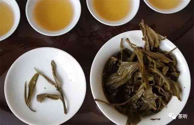 冬日观乌龟的宜茶：普洱茶的品鉴与功效