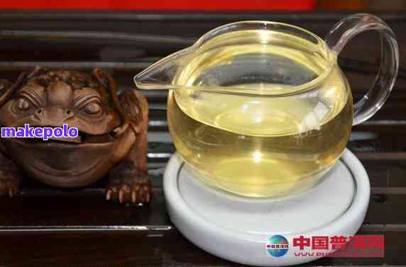 冬日观乌龟的宜茶：普洱茶的品鉴与功效