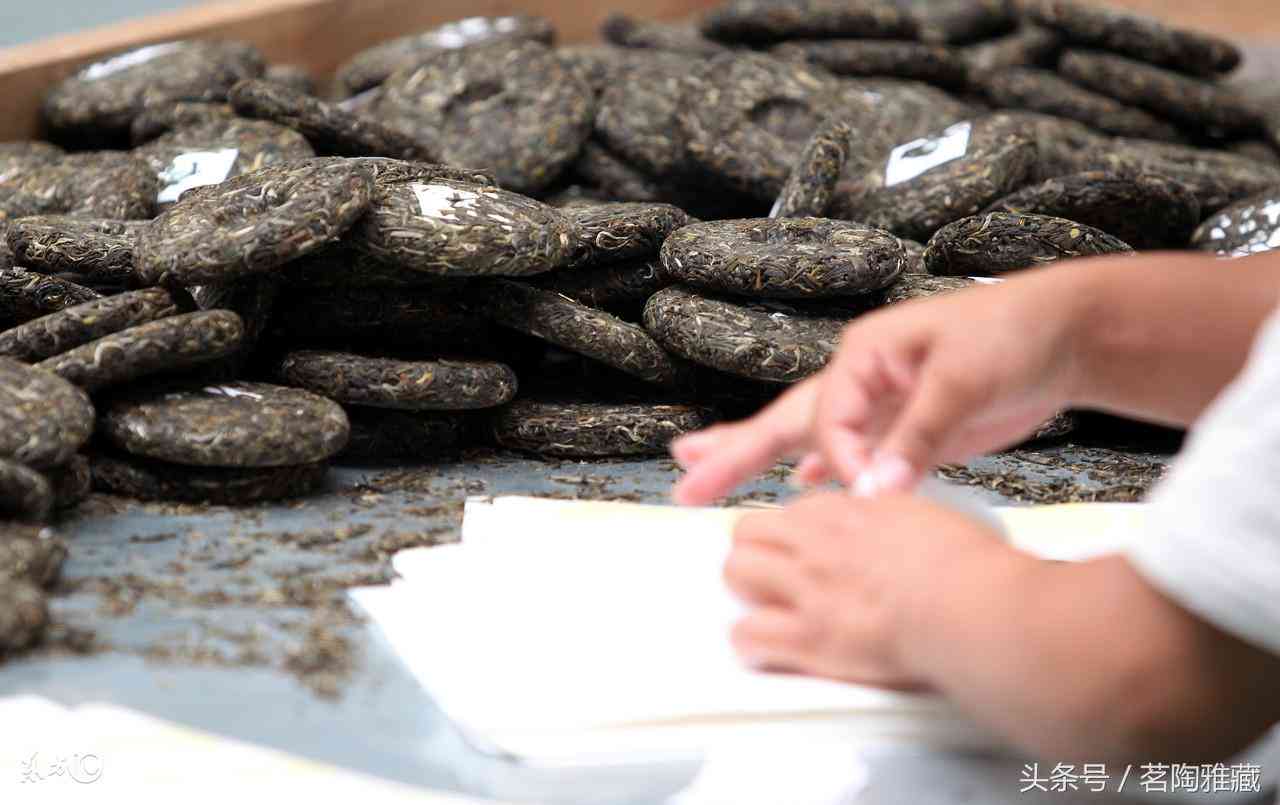 普洱茶为什么没啥味道：探究普洱茶失去香味的原因-普洱茶为什么没有香味