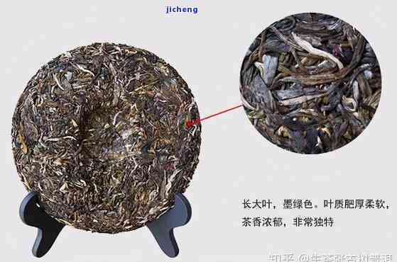 辉力推的普洱茶品种及其独特魅力：小青与普洱茶的区别探讨