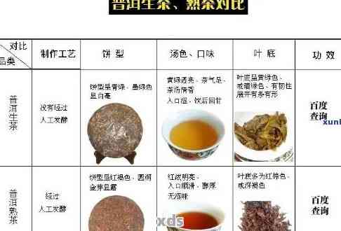 辉力推的普洱茶品种及其独特魅力：小青与普洱茶的区别探讨