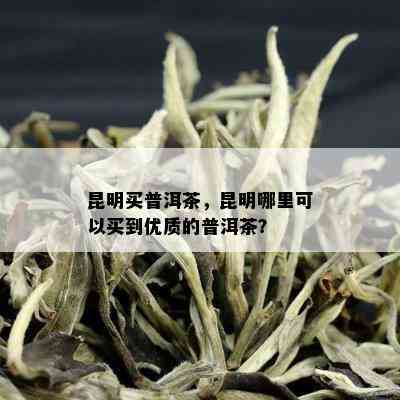 在昆明哪里买普洱茶好