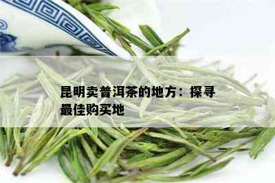 在昆明哪里买普洱茶好