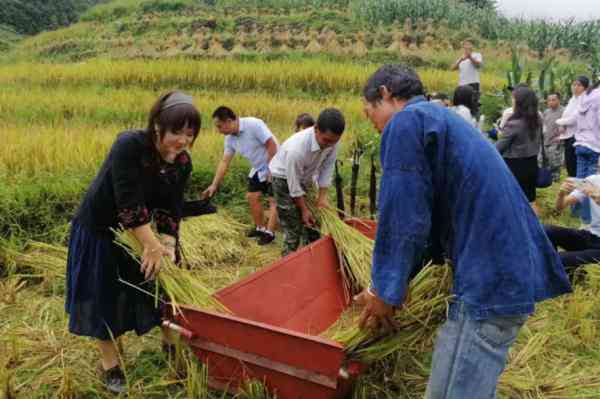 小罐装颗粒普洱茶多少克