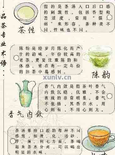 高级茶艺师解说普洱茶：品鉴、泡法与功效全解析，让您全面了解普洱茶的魅力