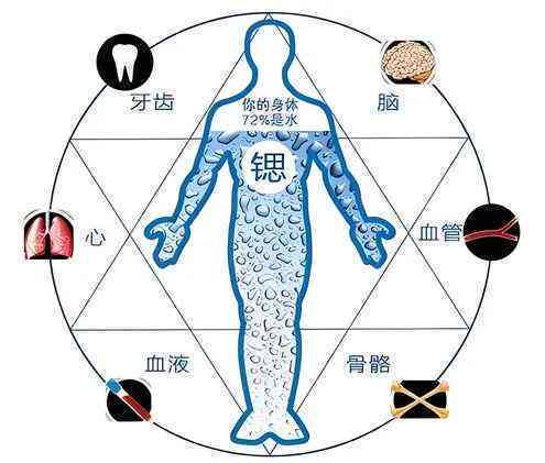 玉化的骨头：对身体健康的益处与潜在风险解析