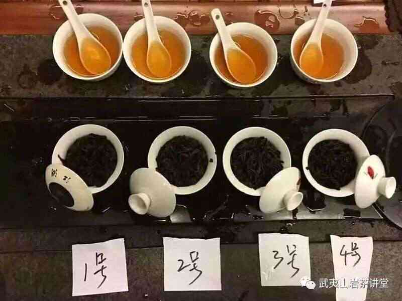 武夷山泡茶十八道工序详解：从选茶到品茗的完整指南