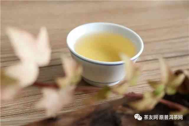 普洱茶散茶棉纸怎么做的