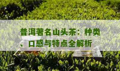 普洱茶的六大山头茶种类及其特点，喝普洱茶是否适合每个人？