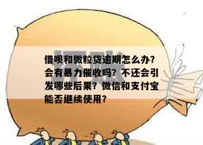 支付宝逾期和微粒贷的区别：影响、后果与能否继续借款