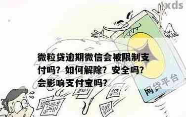 支付宝逾期微粒贷还完还能再借吗？安全吗？