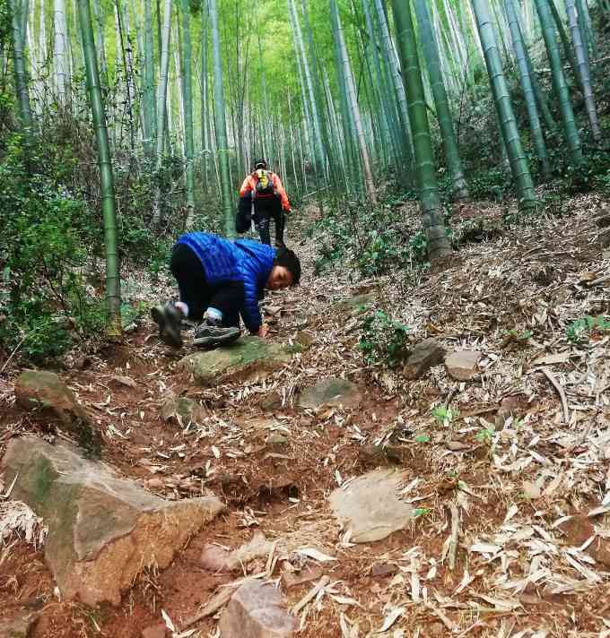 探索长兴古道：寻找失落的贡茶之路