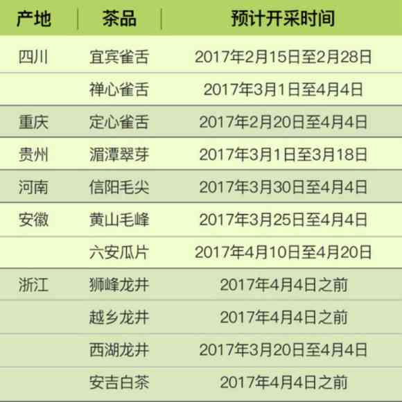 探究今年普洱茶市场：春茶销售情况及价格波动