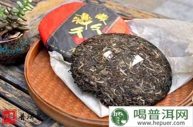 全面指南：如何挑选正宗普洱茶，了解购买过程中的注意事项与误区