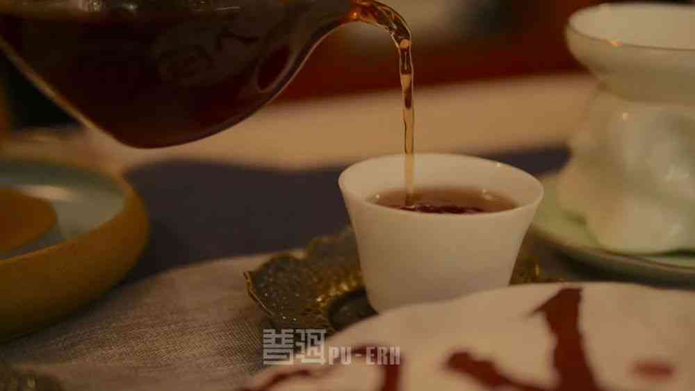 如何品味和冲泡普洱茶？购买大量普洱茶后的全方位饮用指南