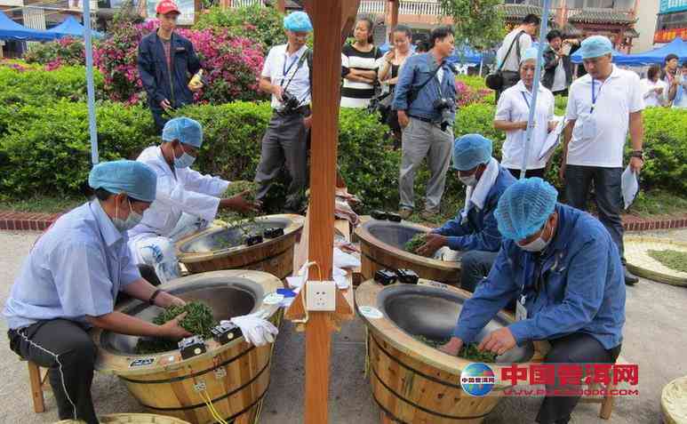 探究普洱茶制作的精工艺及其独特魅力