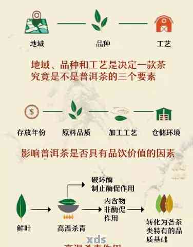 普洱茶：真相揭秘还是营销炒作？一篇全面的探讨与分析