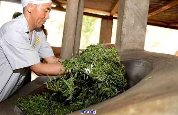 脚踏实地品鉴普洱茶：揭秘普洱茶制作过程中的独特工艺