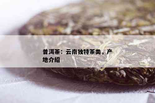 普洱茶是哪个省的特产品种：云南普洱茶