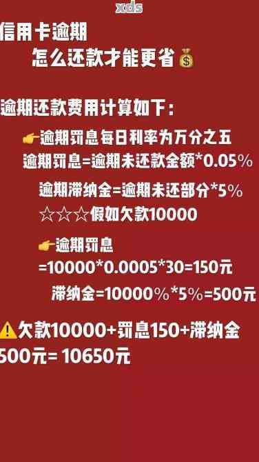 逾期还款：选择一次性还是分期更好？