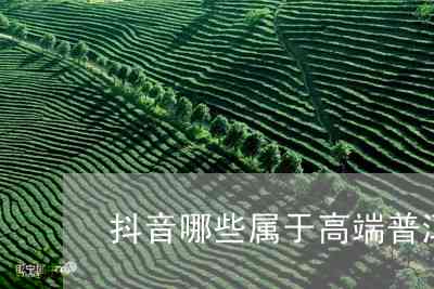 抖音普洱茶前十名是哪些