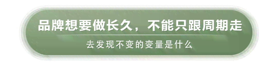 抖音普洱茶前十名排行榜是哪些：揭示更受欢迎的十大及名字