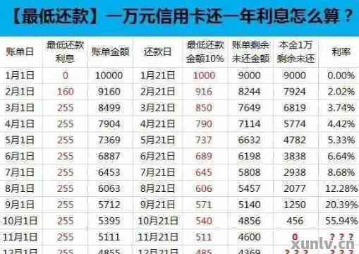 信用卡还款全攻略：如何使用信用卡进行还款，以及何时选择信用卡还款方式