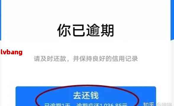 借呗逾期后还款策略：用户全面指南，了解如何尽快还清所有款项