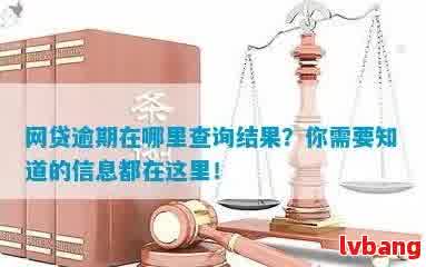 网贷逾期如何查询大数据信息内容？