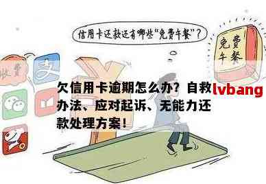 两年内逾期6次：了解原因、后果和解决办法，避免信用受损