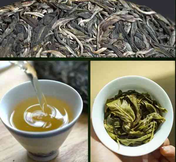 古六大茶山普洱茶直播：特点与新六大茶山对比