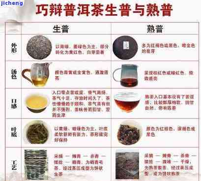 普洱茶：种类、品质与鉴别方法的全面解析