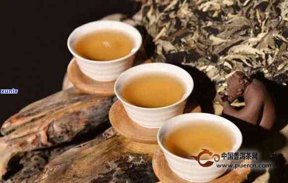 普洱茶到底是什么茶类？怎么喝才更养生？