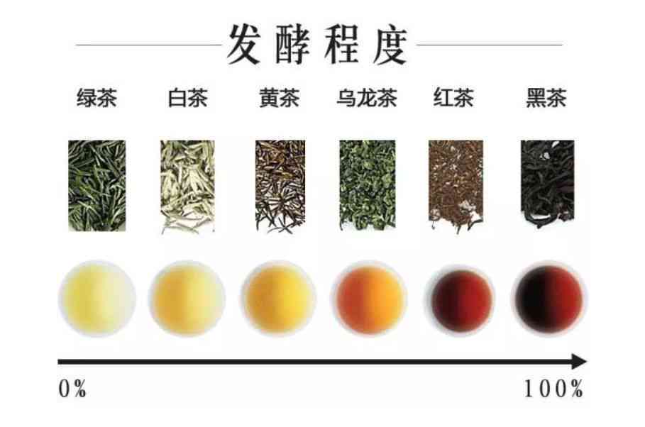 全面解析：哪些茶叶具有耐泡特性？如何选择和品尝耐泡茶叶？