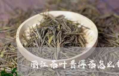 丽江雪茶是不是普洱茶呀