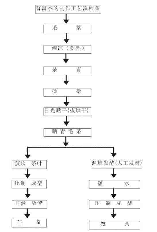 古树普洱茶生产工艺流程