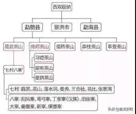 云南普洱茶产地全面解析：从产区到品种，探索云南普洱茶的魅力与区别