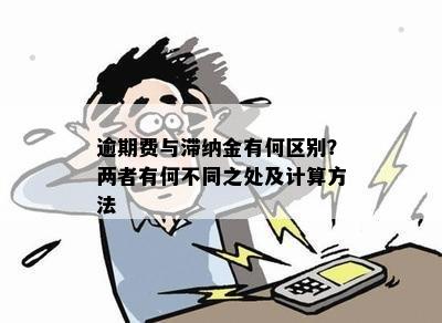 逾期60天和90天的区别是什么：理解贷款滞纳金与利息的不同处理