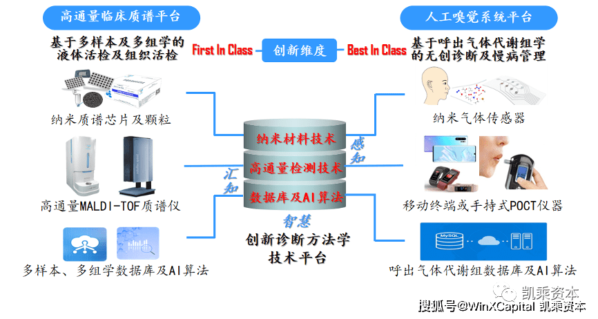 普洱茶饮用的适量与频率：如何科学饮用以获得健效益