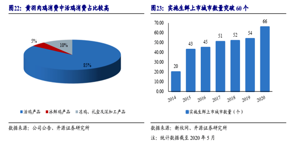 红玉镯价格：影响因素、购买渠道和市场趋势全面解析