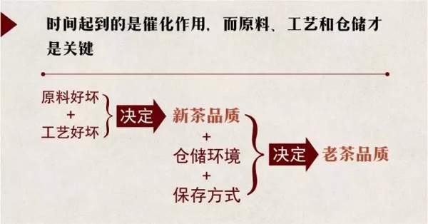 全面解析：普洱茶的品质如何？从原料到制作工艺，一一解答您的疑问