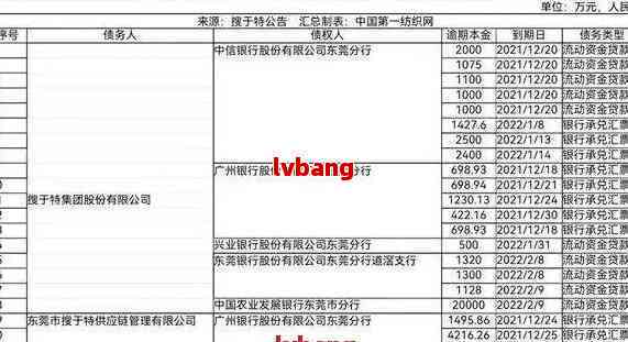 '如何通过网商贷协商还款还对公账户：步骤与注意事项'