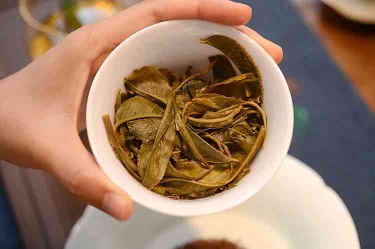 普洱茶的安全性：口粮普洱茶可以饮用吗？